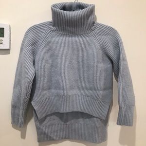 Aritzia Blue Sweater